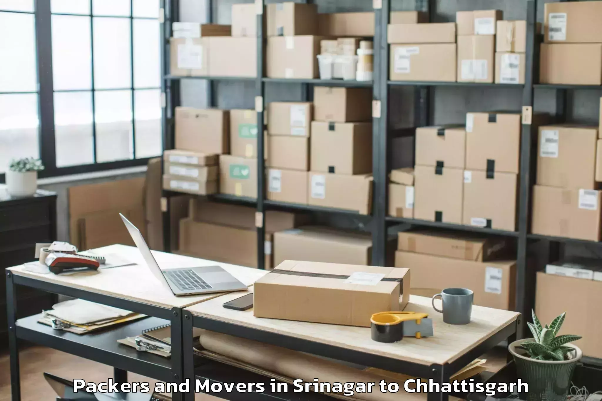 Efficient Srinagar to Op Jindal University Raigarh Packers And Movers